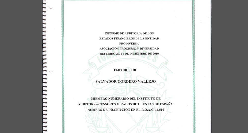 INFORME AUDITORIA 2010