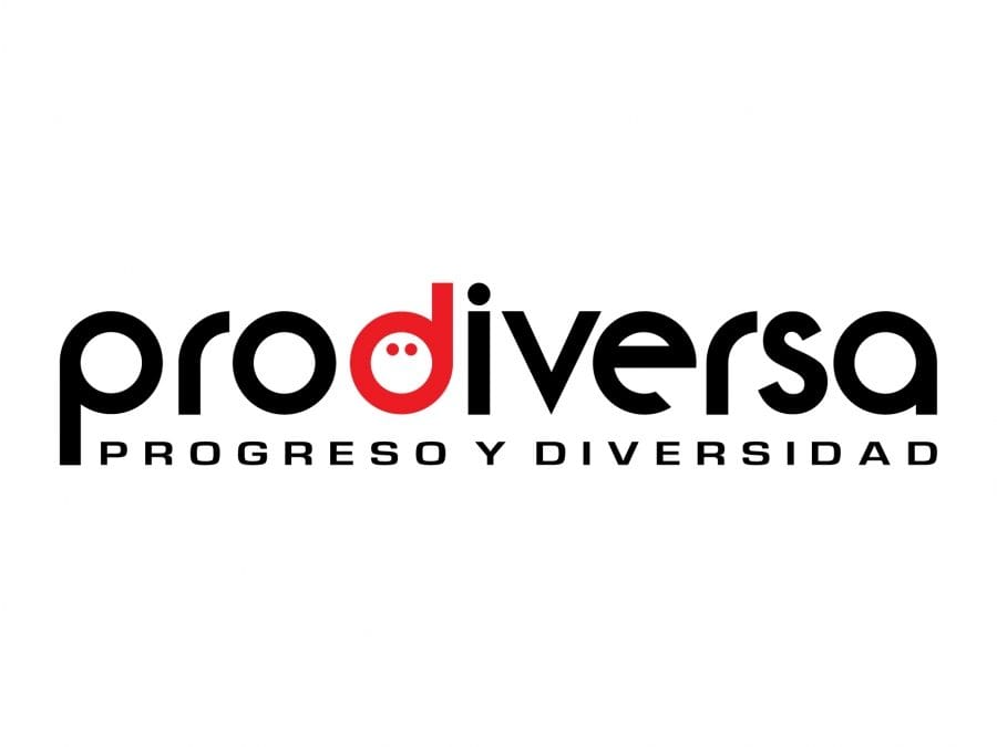 CONVOCATORIA DE EMPLEO TÉCNICA/O DE INCIDENCIA POLÍTICA Y SOCIAL