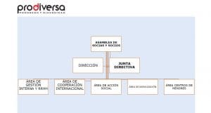 Informes: Organigrama PRODIVERSA