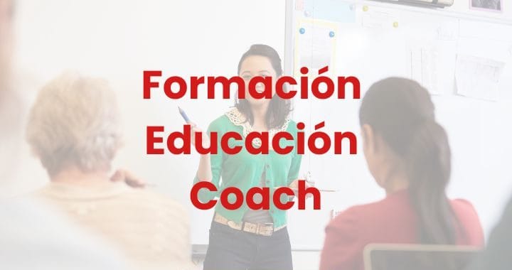 PROFESOR/A DE ESPAÑOL PARA EXTRANJEROS/AS