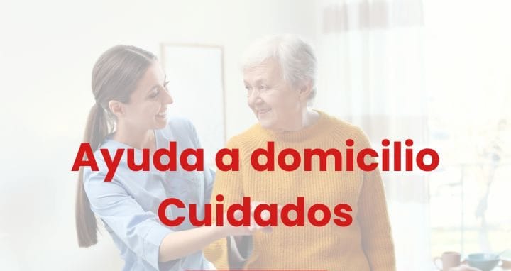 AUXILIAR AYUDA A DOMICILIO
