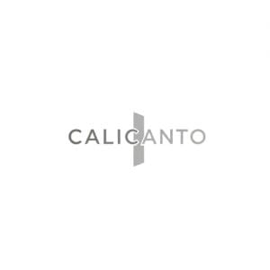 Logotipo de la promotora inmobiliar social e inclusiva Calicanto